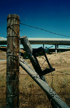 Lamp Und Razor Wire!
